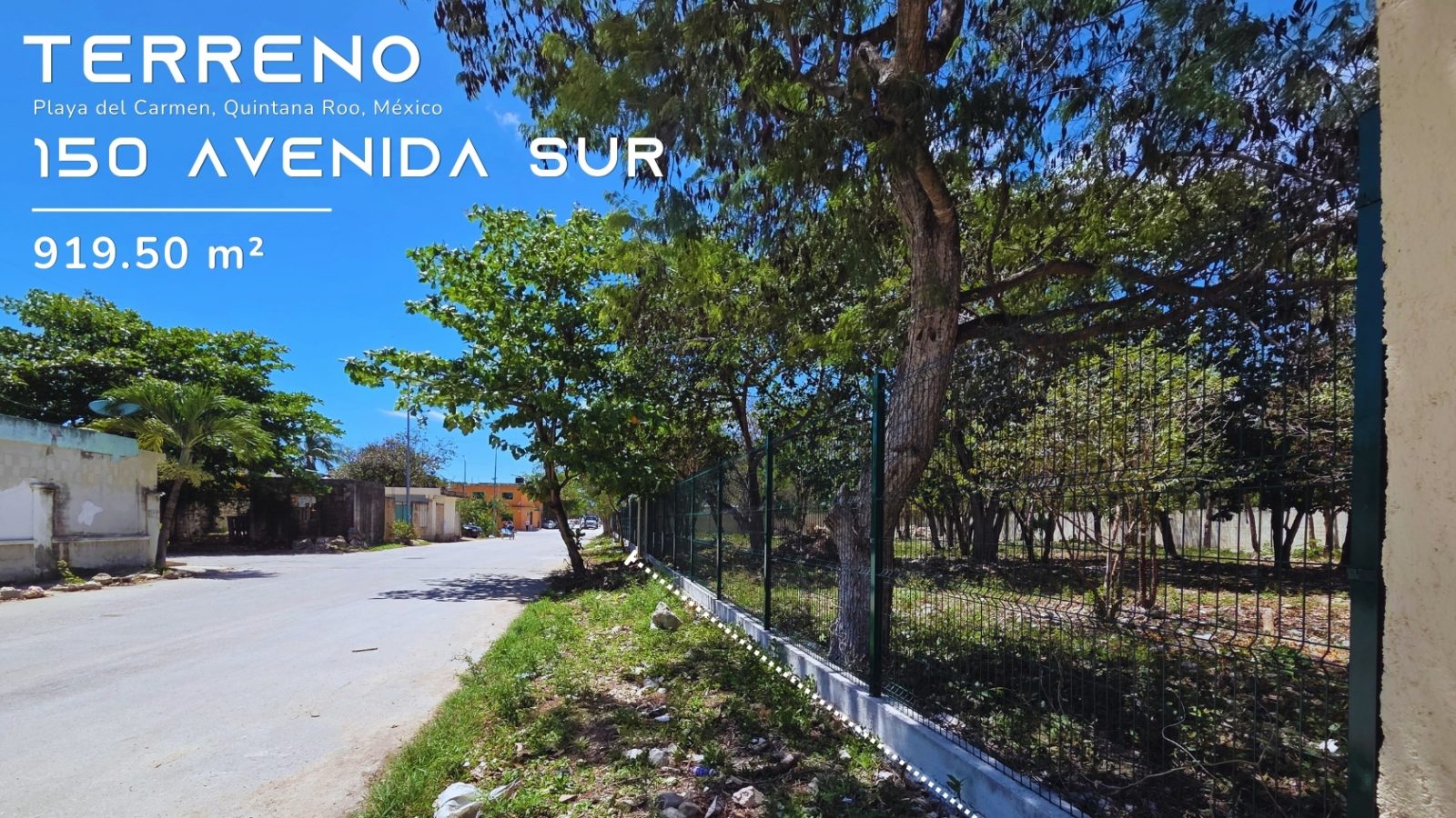 Terreno en Playa del Carmen. 919.50 m² Av. 11 Sur, Bellavista