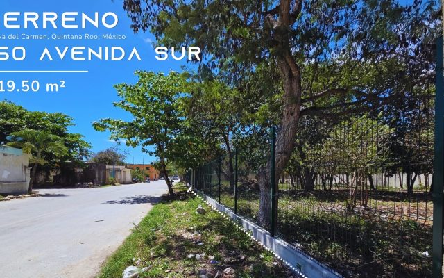 Terreno en Playa del Carmen. 919.50 m² Av. 11 Sur, Bellavista