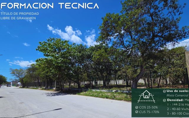 Terreno en Playa del Carmen. 919.50 m² Av. 11 Sur, Bellavista