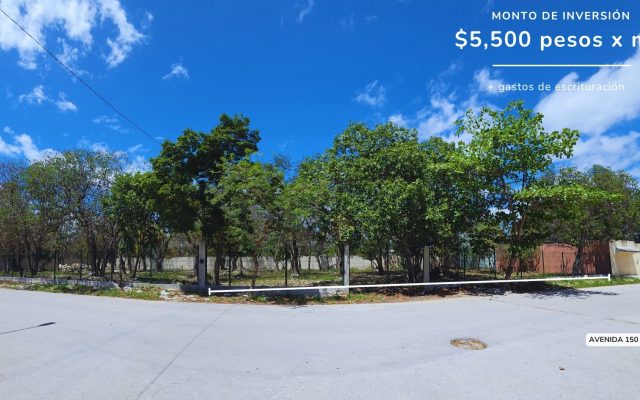 Terreno en Playa del Carmen. 919.50 m² Av. 11 Sur, Bellavista