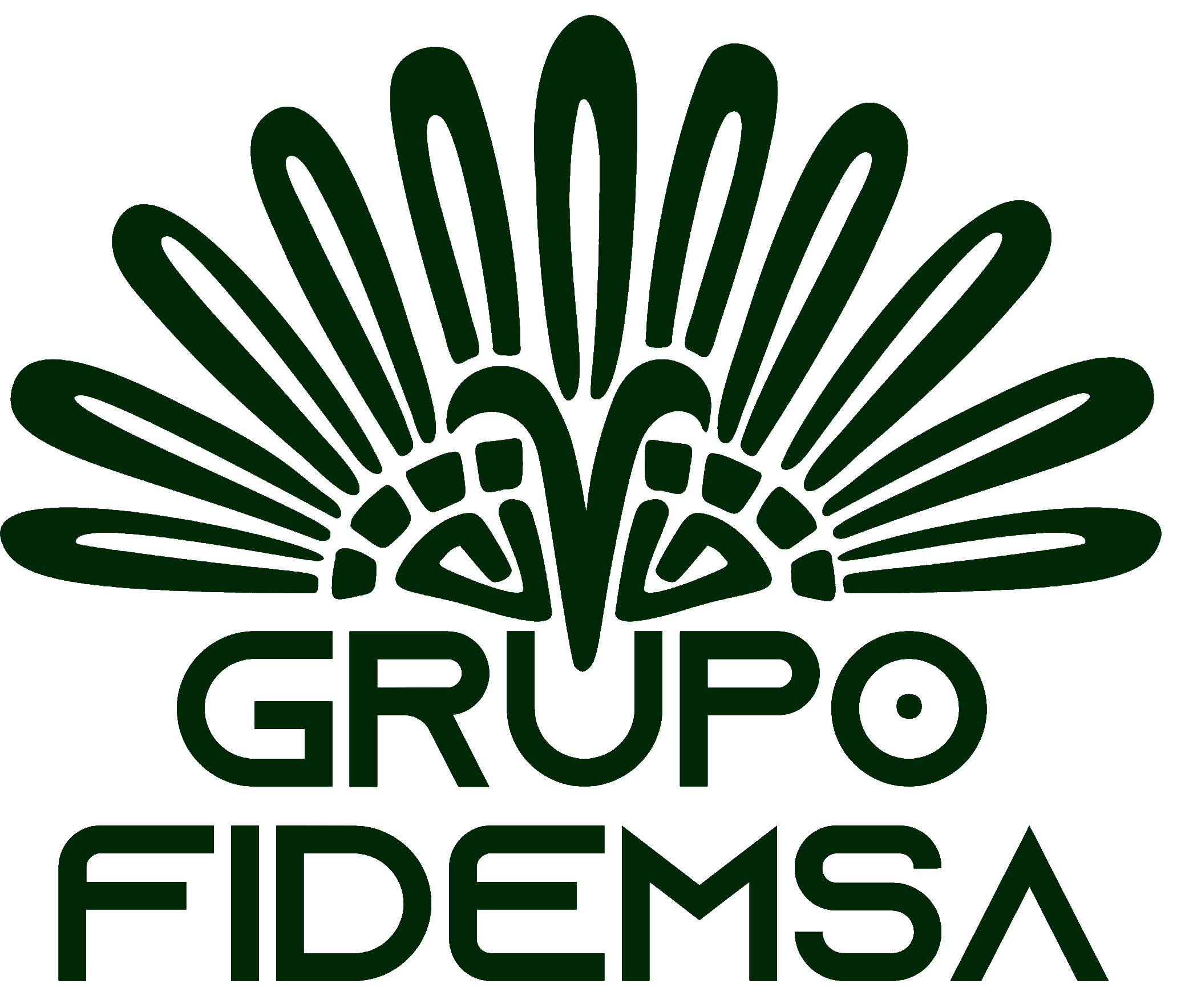 Grupo Fidemsa